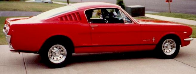 mustang02.jpg (26578 bytes)